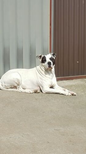 Foto van Spice