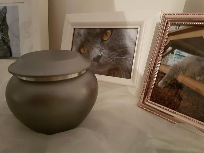 Foto van Tiestje