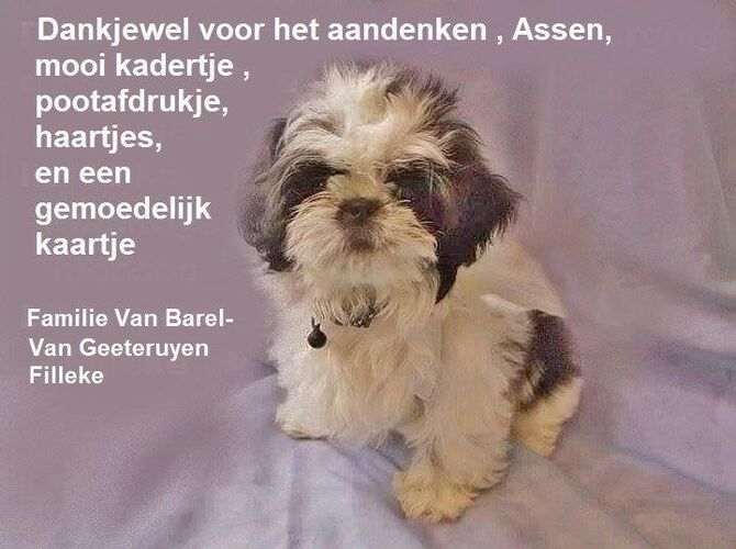 Foto van Filleke