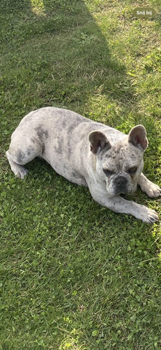 Foto van Bella-Bleu