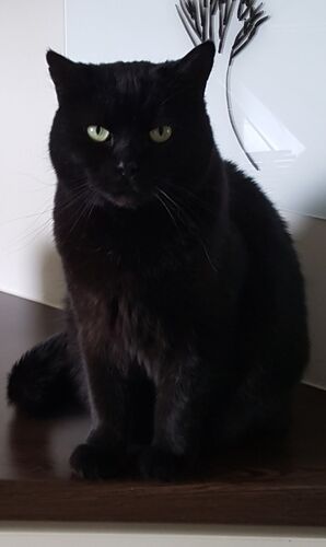 Foto van Max