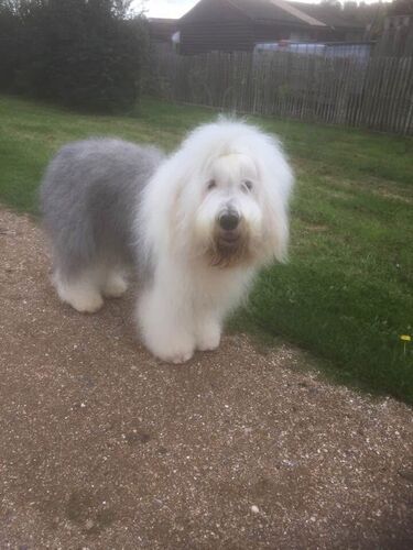Foto van MAX